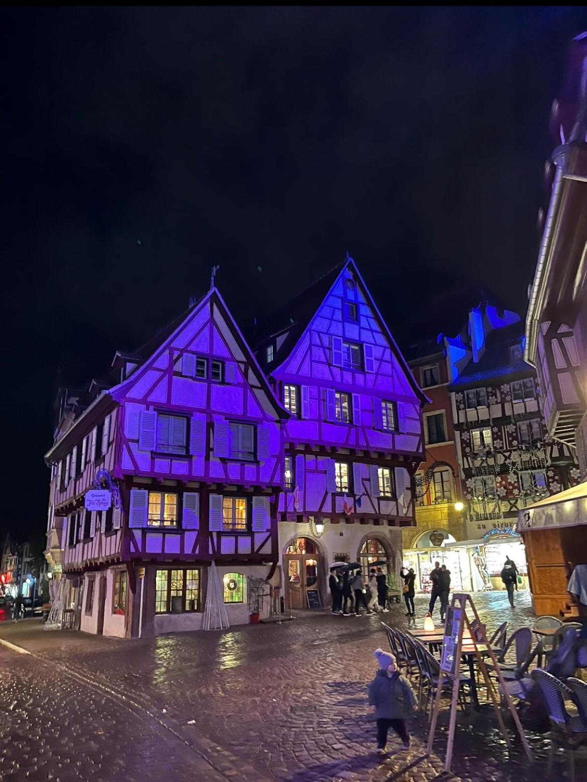 Colmar - Le Nichoir - Centre Historique - Parking Gratuit - Box Velo & Poussetteアパートメント エクステリア 写真